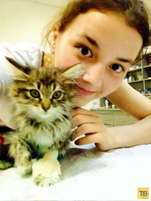 ������� �������� ������� � ������������� ������ (12 ����)