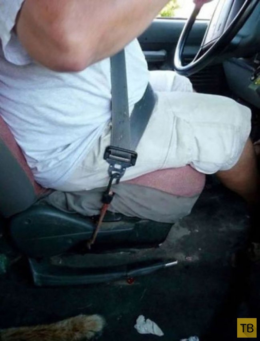 ��������, � ��� �������! (27 ����)