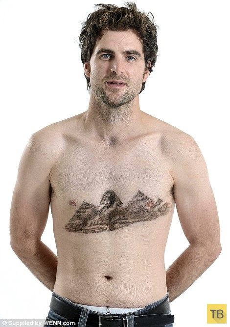 Мировые достопримечательности из волос на мужской груди (11 фото)
