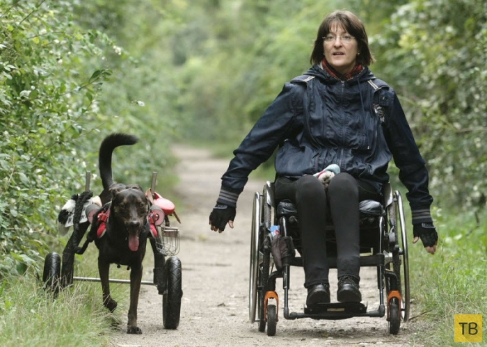 Инвалидность - не приговор! (10 фото)