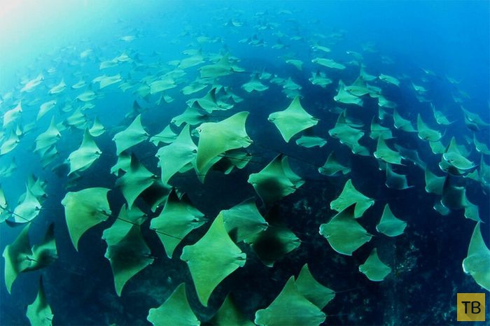 �������� �������� ����� ������ (8 ����)