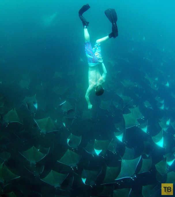 �������� �������� ����� ������ (8 ����)