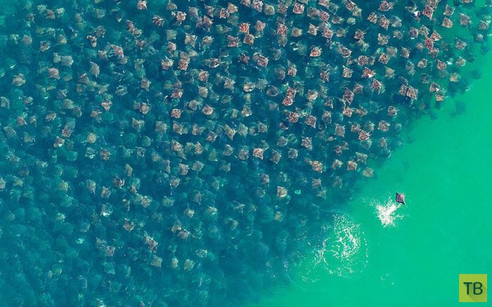 �������� �������� ����� ������ (8 ����)