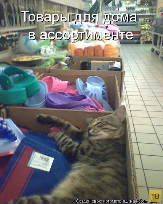 ������ ����������� ������, ����� 13 (51 ����)