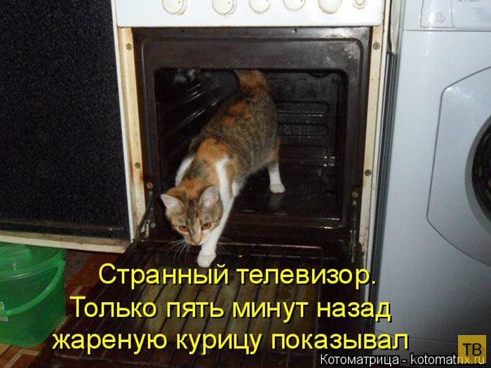 ������ ����������� ������, ����� 13 (51 ����)