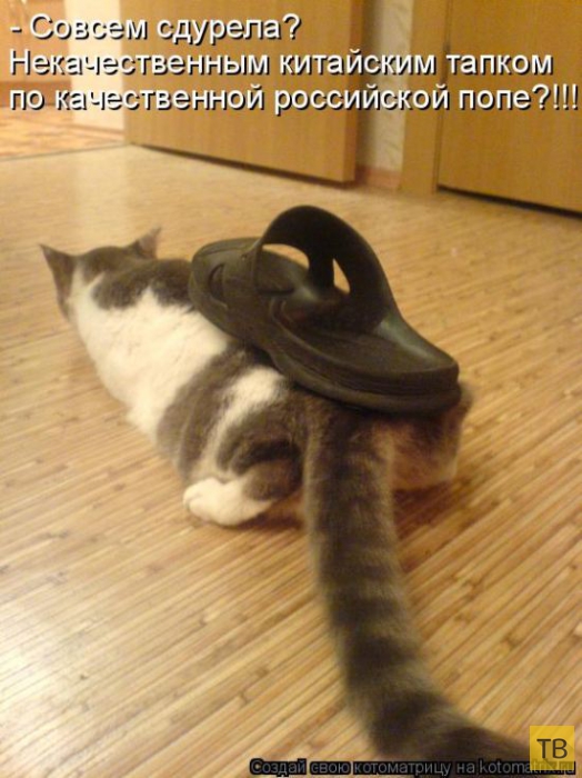 ������ ����������� ������, ����� 13 (51 ����)