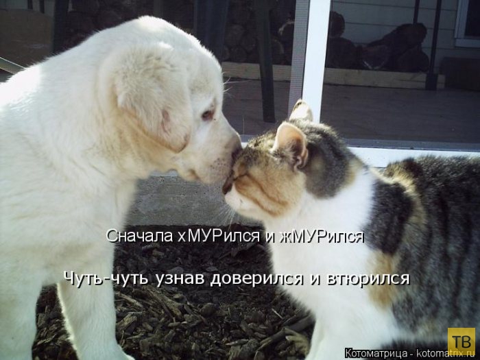 ������ ����������� ������, ����� 13 (51 ����)