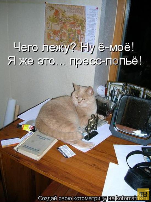 ������ ����������� ������, ����� 13 (51 ����)