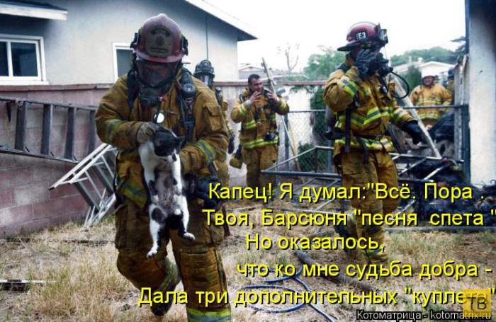 ������ ����������� ������, ����� 13 (51 ����)