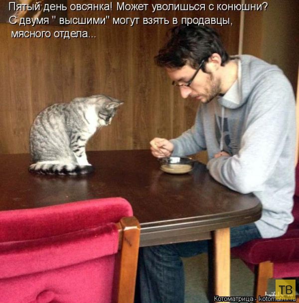 ������ ����������� ������, ����� 13 (51 ����)