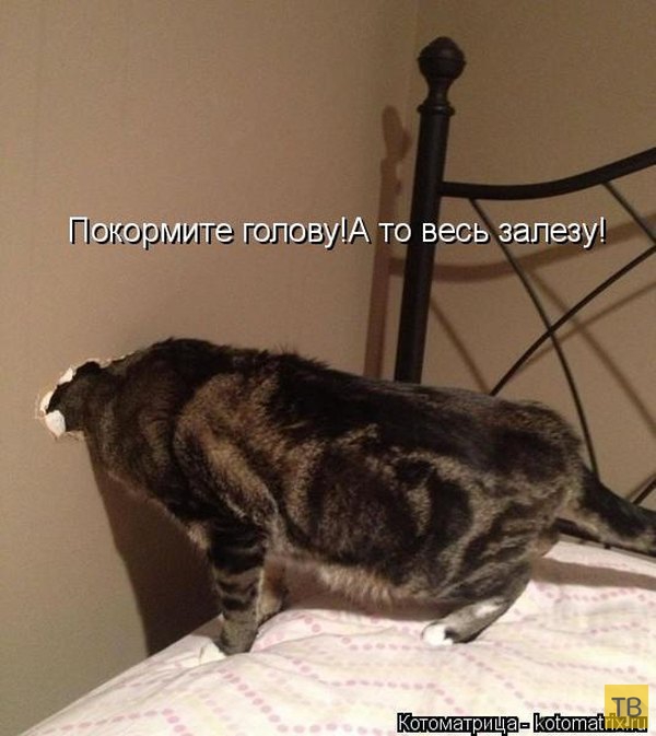 ������ ����������� ������, ����� 13 (51 ����)