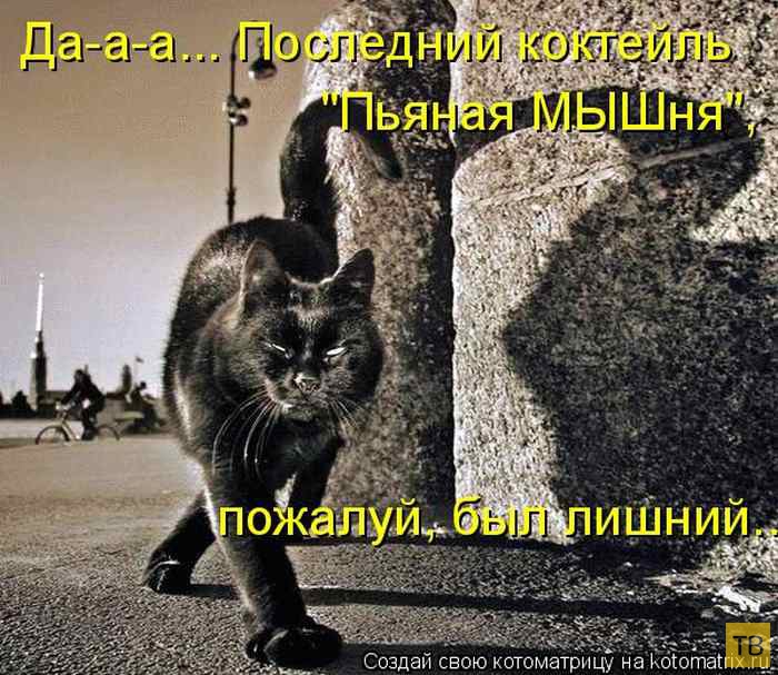 ������ ����������� ������, ����� 13 (51 ����)