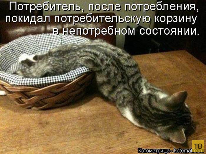 ������ ����������� ������, ����� 13 (51 ����)