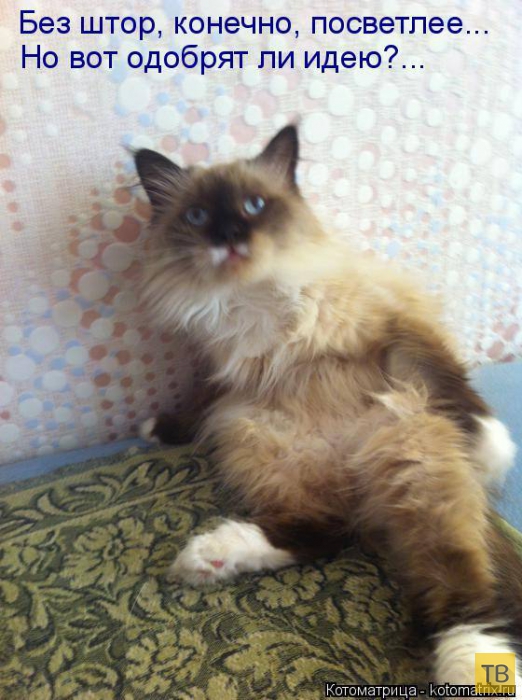 ������ ����������� ������, ����� 13 (51 ����)