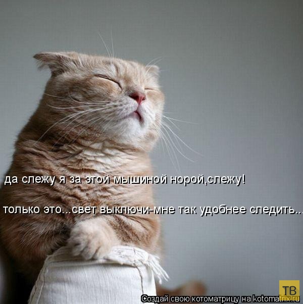 ������ ����������� ������, ����� 13 (51 ����)