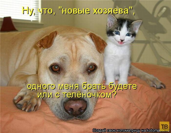 ������ ����������� ������, ����� 13 (51 ����)