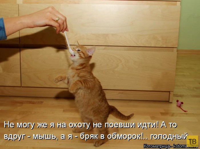 ������ ����������� ������, ����� 13 (51 ����)