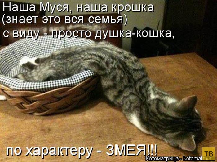 ������ ����������� ������, ����� 13 (51 ����)