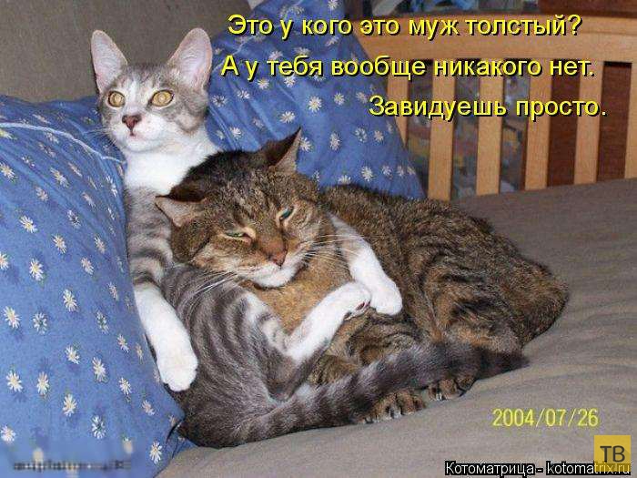 ������ ����������� ������, ����� 13 (51 ����)