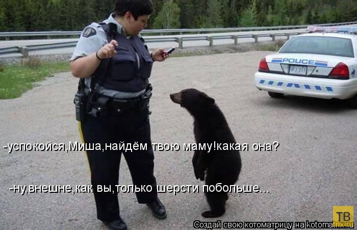 ������ ����������� ������, ����� 13 (51 ����)