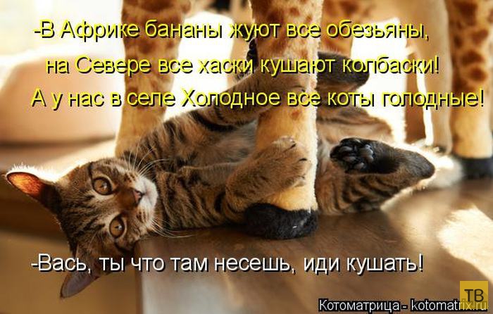 ������ ����������� ������, ����� 13 (51 ����)