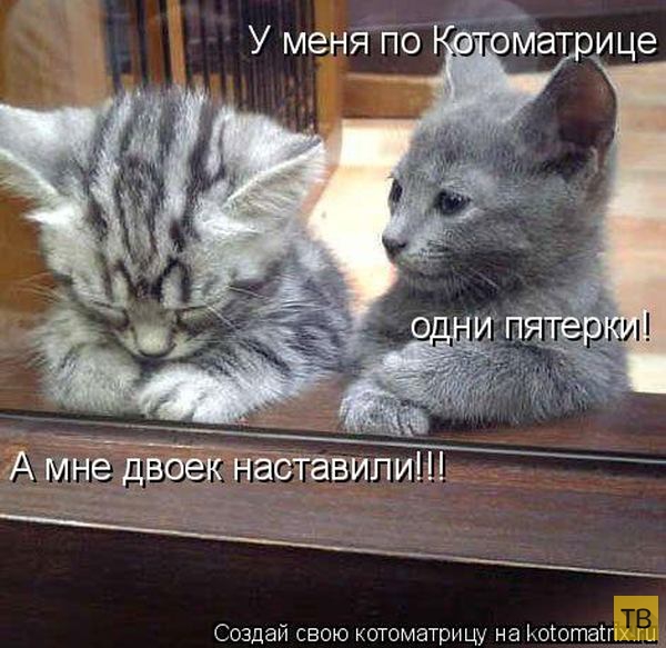 ������ ����������� ������, ����� 13 (51 ����)