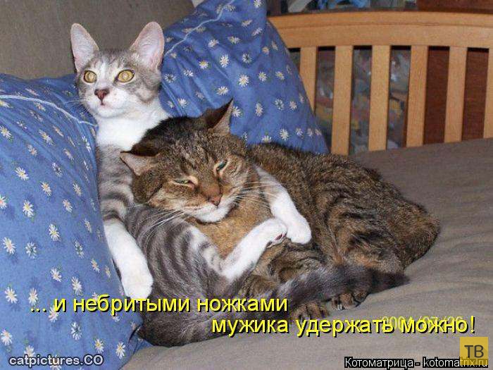 ������ ����������� ������, ����� 13 (51 ����)