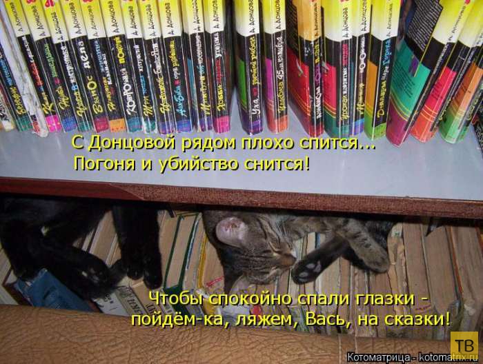 ������ ����������� ������, ����� 13 (51 ����)