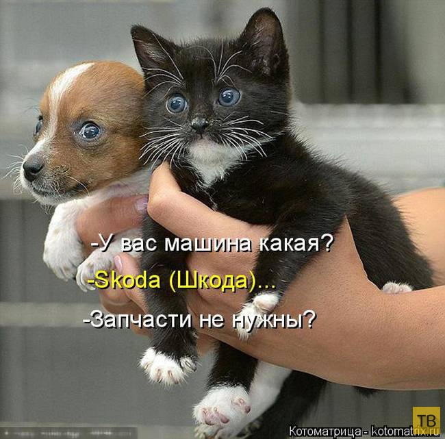 ������ ����������� ������, ����� 13 (51 ����)