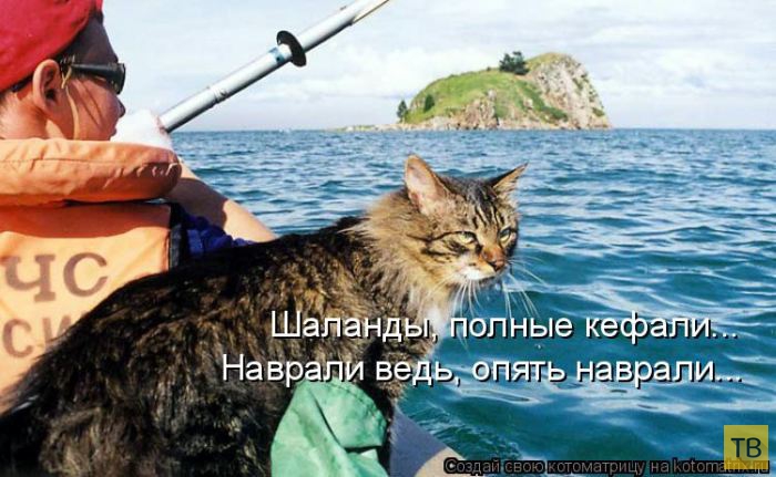 ������ ����������� ������, ����� 13 (51 ����)