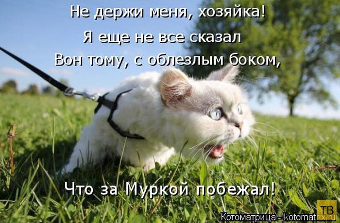 ������ ����������� ������, ����� 13 (51 ����)