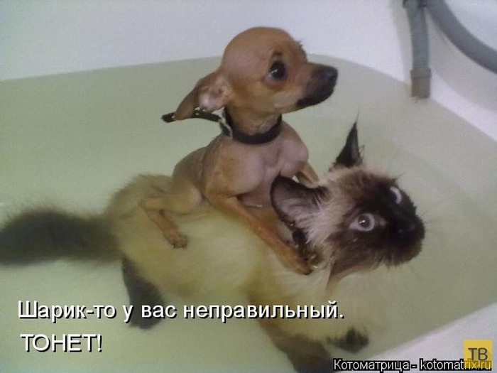 ������ ����������� ������, ����� 13 (51 ����)