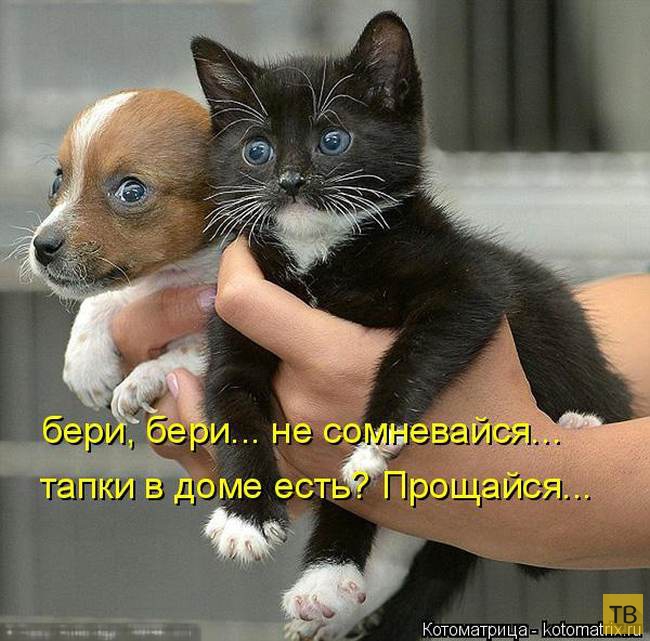 ������ ����������� ������, ����� 13 (51 ����)