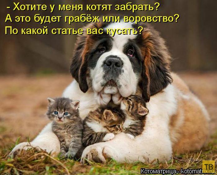 ������ ����������� ������, ����� 13 (51 ����)