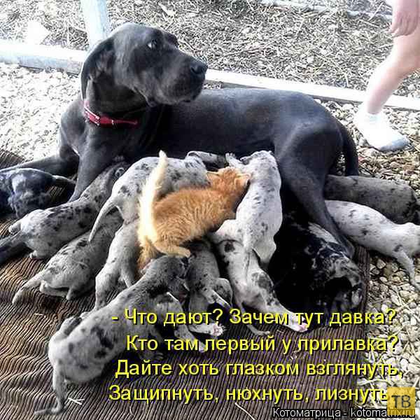 ������ ����������� ������, ����� 13 (51 ����)