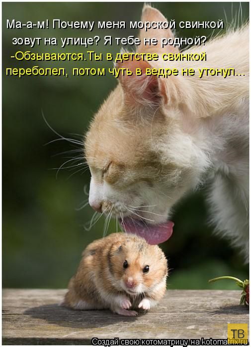 ������ ����������� ������, ����� 13 (51 ����)