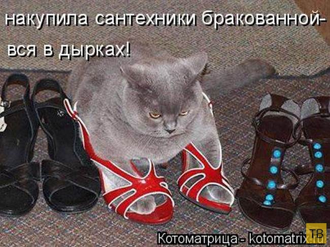 ������ ����������� ������, ����� 13 (51 ����)