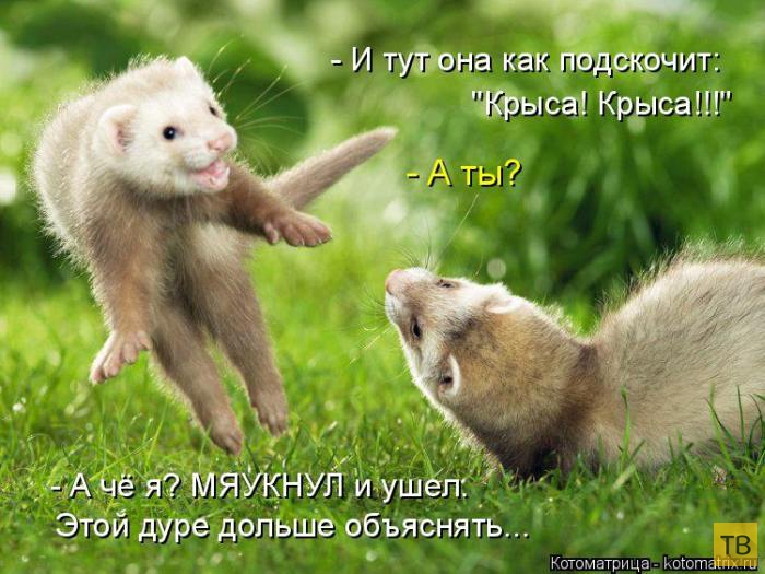 ������ ����������� ������, ����� 13 (51 ����)