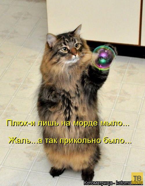 ������ ����������� ������, ����� 13 (51 ����)