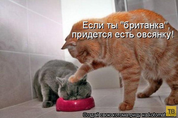 ������ ����������� ������, ����� 13 (51 ����)