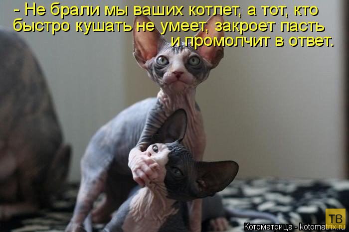 ������ ����������� ������, ����� 13 (51 ����)