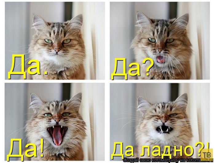 ������ ����������� ������, ����� 13 (51 ����)