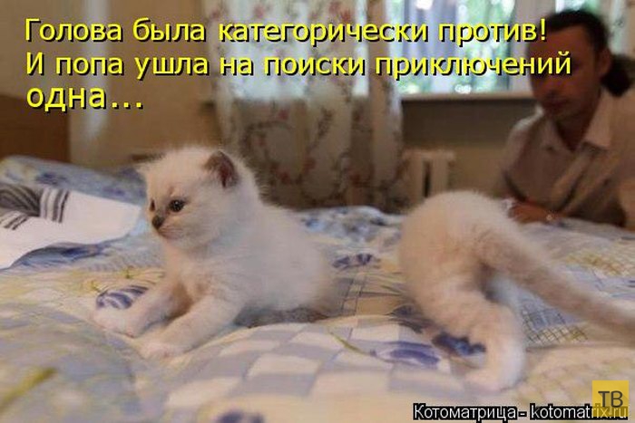 ������ ����������� ������, ����� 13 (51 ����)