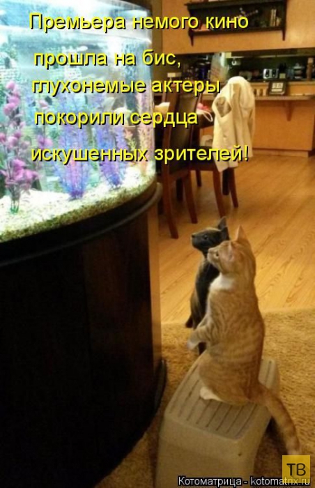 ������ ����������� ������, ����� 13 (51 ����)