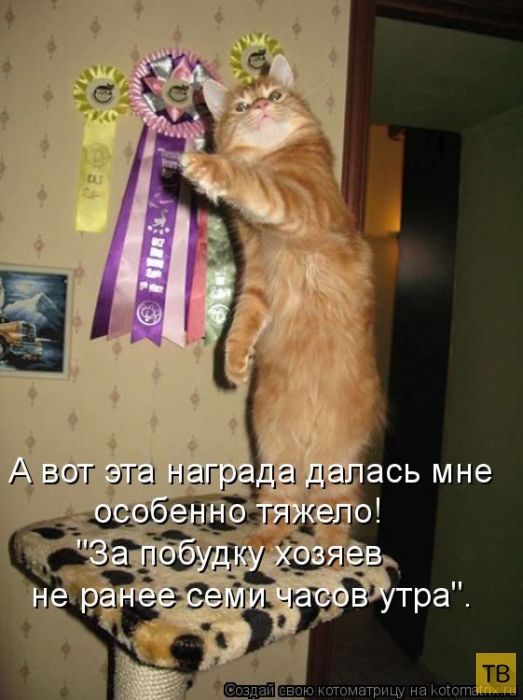 ������ ����������� ������, ����� 13 (51 ����)