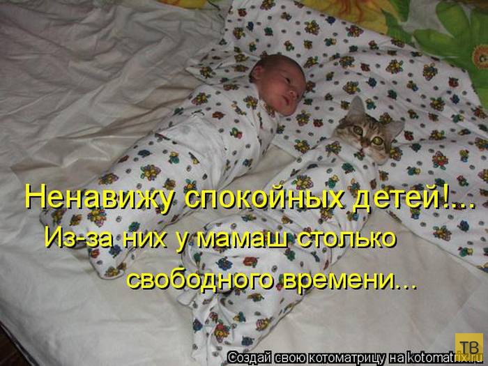 ������ ����������� ������, ����� 13 (51 ����)