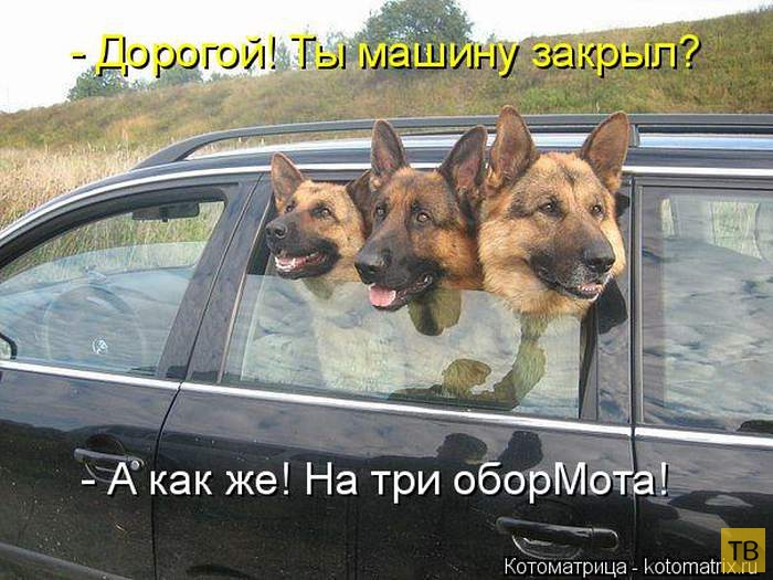 ������ ����������� ������, ����� 13 (51 ����)