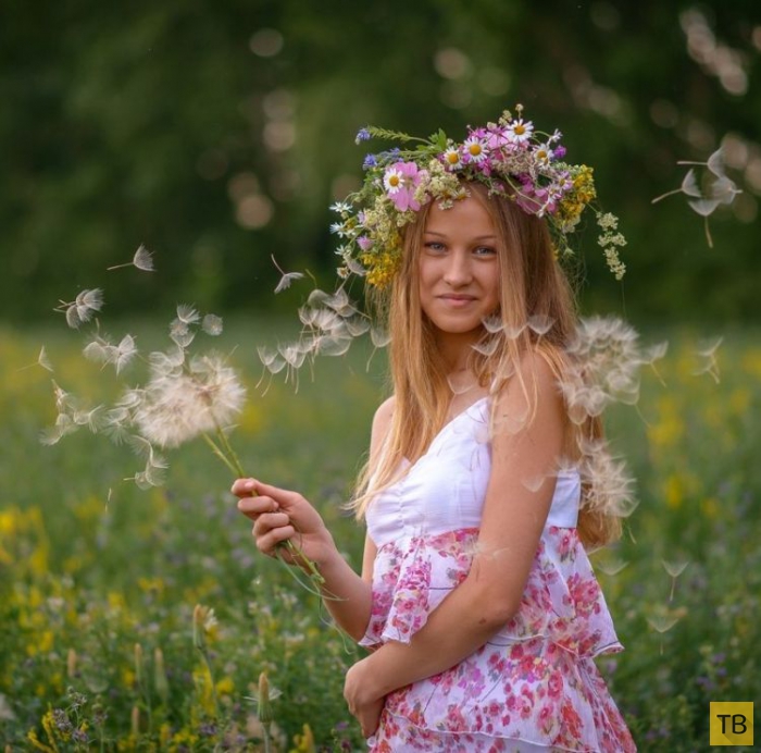 ������� ��������� (27 ����)