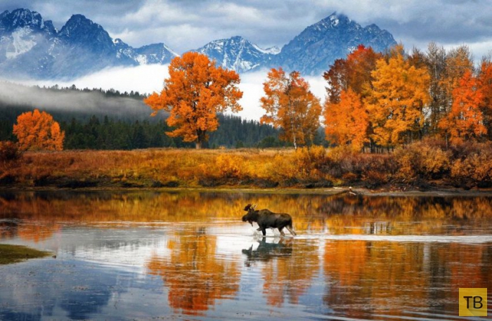 ��������� ����� � ������ ������� ������� (20 ����)