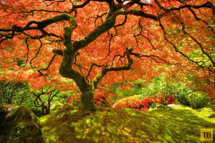 ��������� ����� � ������ ������� ������� (20 ����)